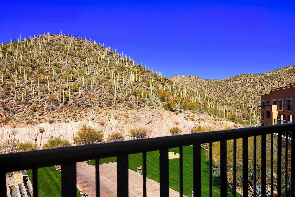 JW Marriott Starr Pass Resort and Spa - photo 5