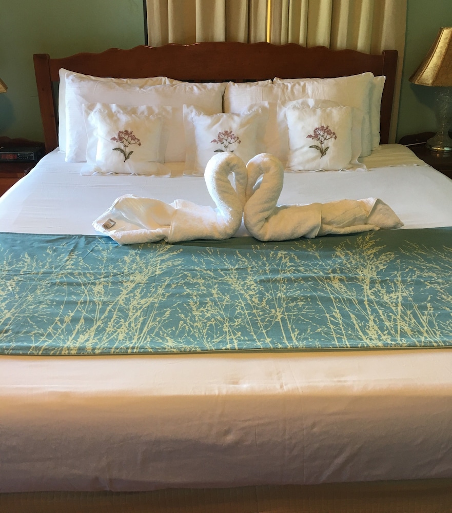 Rolson Hotel — San Ignacio — photo 3