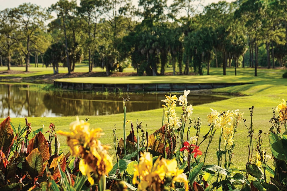 Mission Resort and Club - photo 33