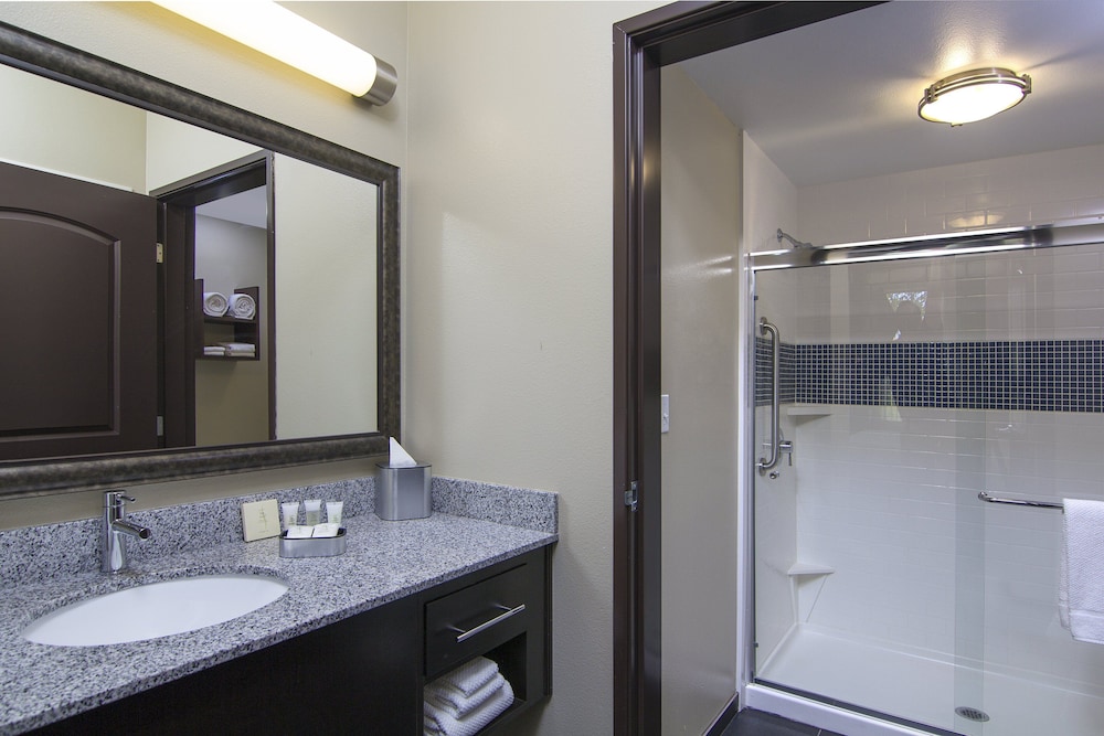 Staybridge Suites Carlsbad by IHG - photo 28