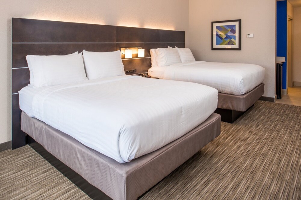 Holiday Inn Express & Suites Tampa North Wesley Chapel by IHG - photo 10