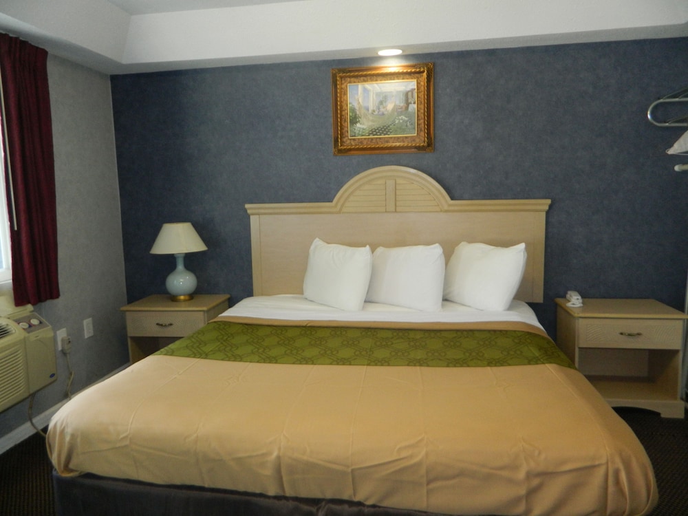 Village Inn and Suites - photo 20