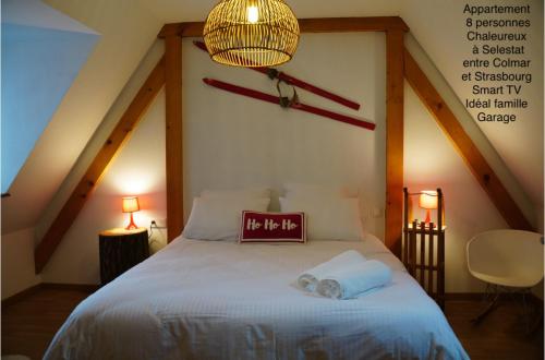 Tout Schuss En Duplex 8 Pers Avec Garage — Selestat