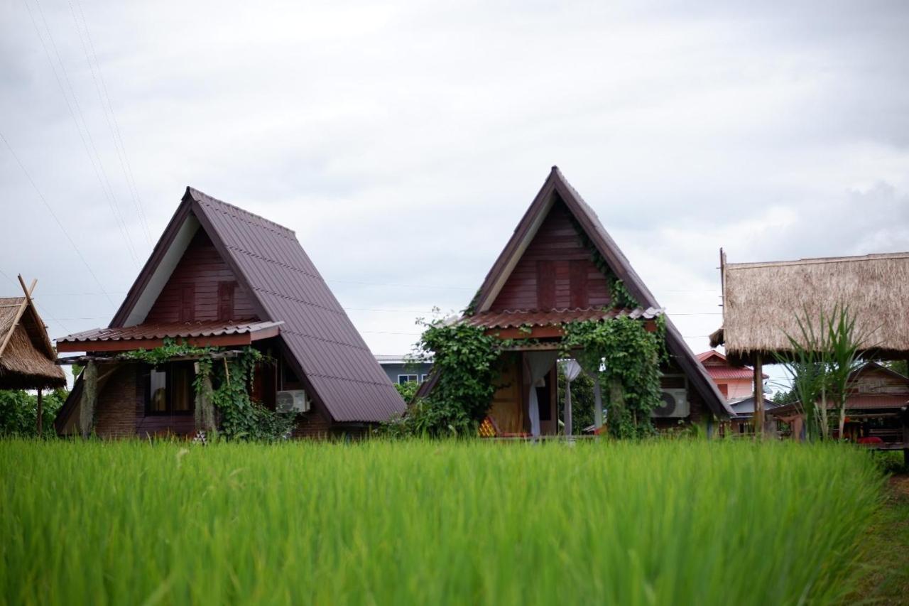 Huean Himbo pet-friendly hotel Chiang Rai