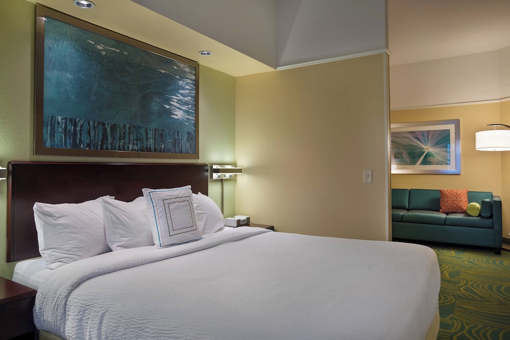 SpringHill Suites by Marriott St. Petersburg Clearwater - photo 5