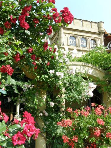 Hotel Bow Garden — Komarno — photo 2
