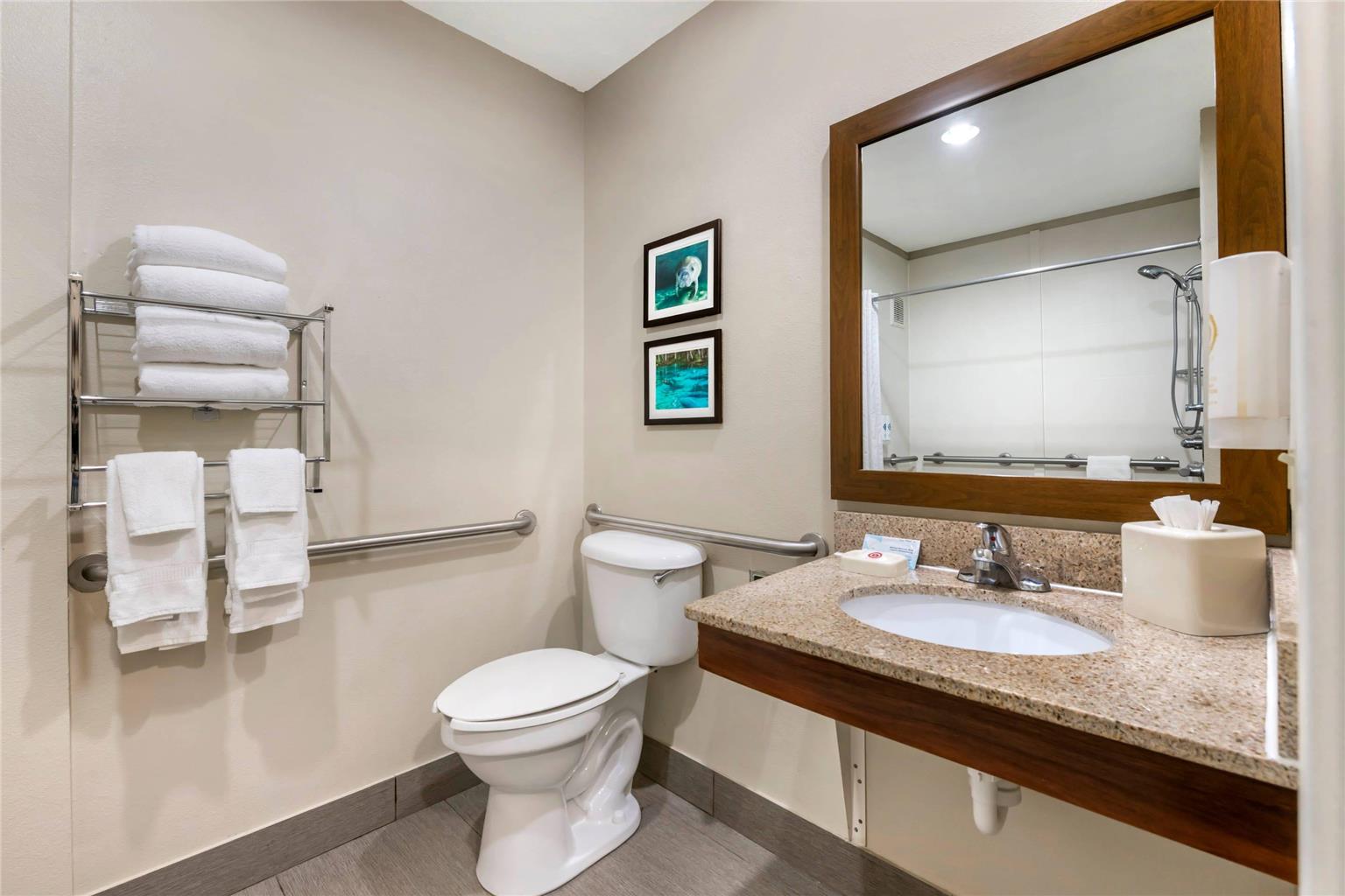 Comfort Inn & Suites Wildwood The Villages - photo 15