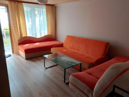 Krynica Morska Piaski studio a La domek in Krynica Morska, Poland