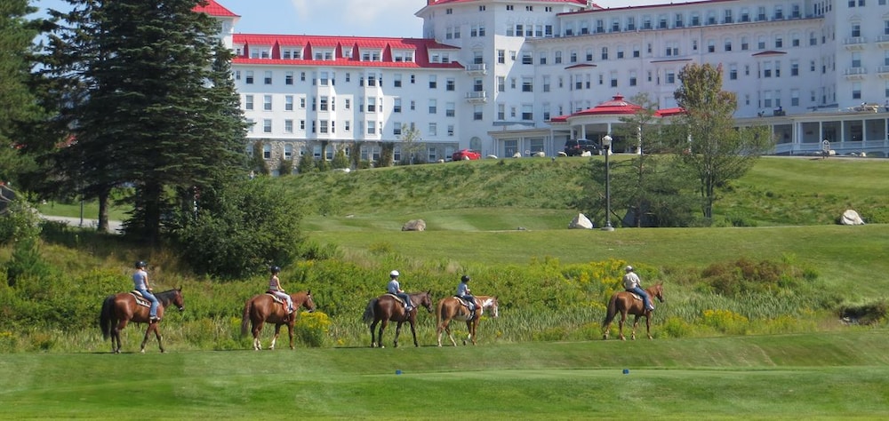 Omni Mount Washington Resort & Spa - photo 90