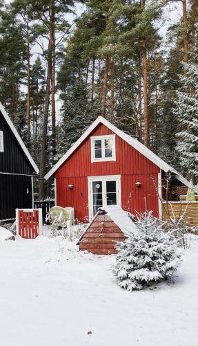 Stalden — Knaered — photo 2