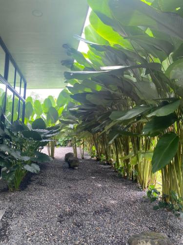 Toucan home — 4-Star Luxury Hotel in Fortuna, Costa Rica