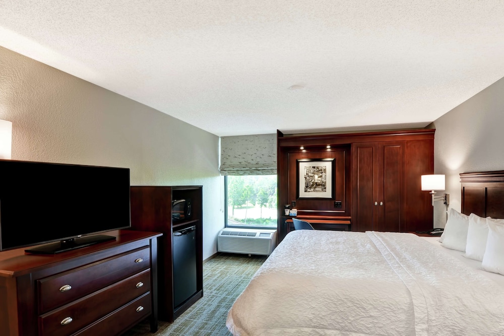 Hampton Inn Charlotte Gastonia - photo 19
