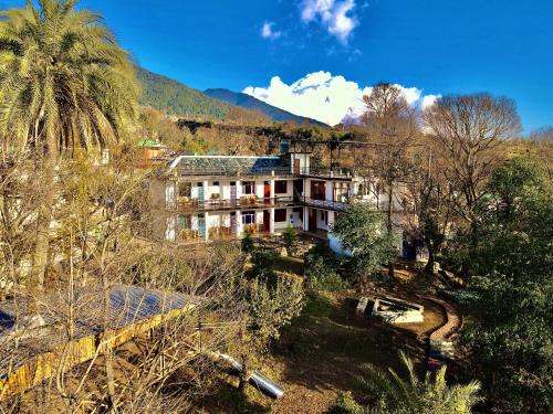 Little Bir — Beed — photo 3