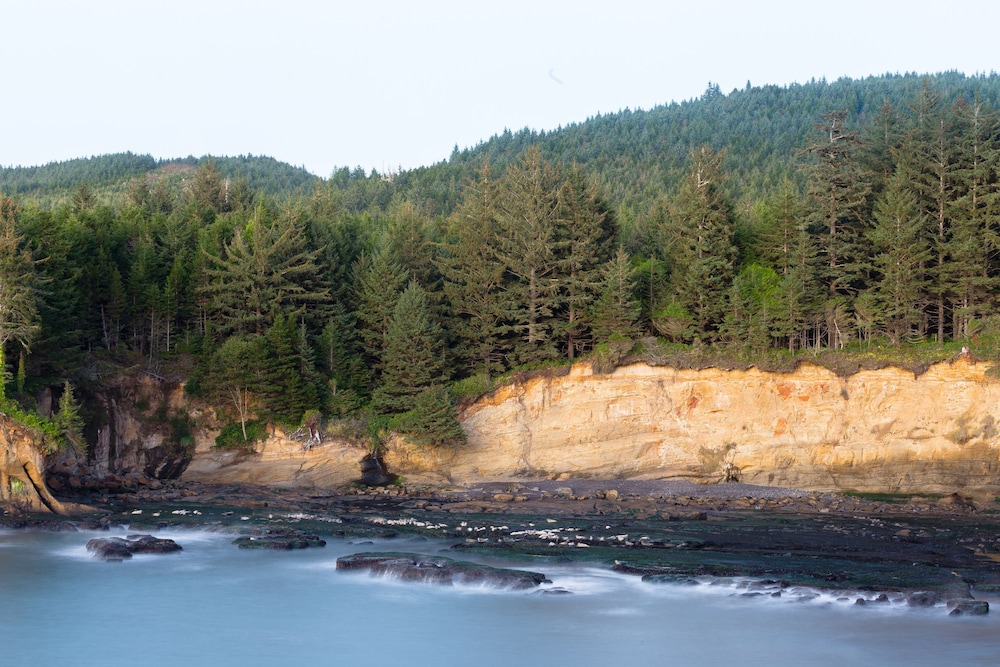 Whale Cove Inn - photo 31