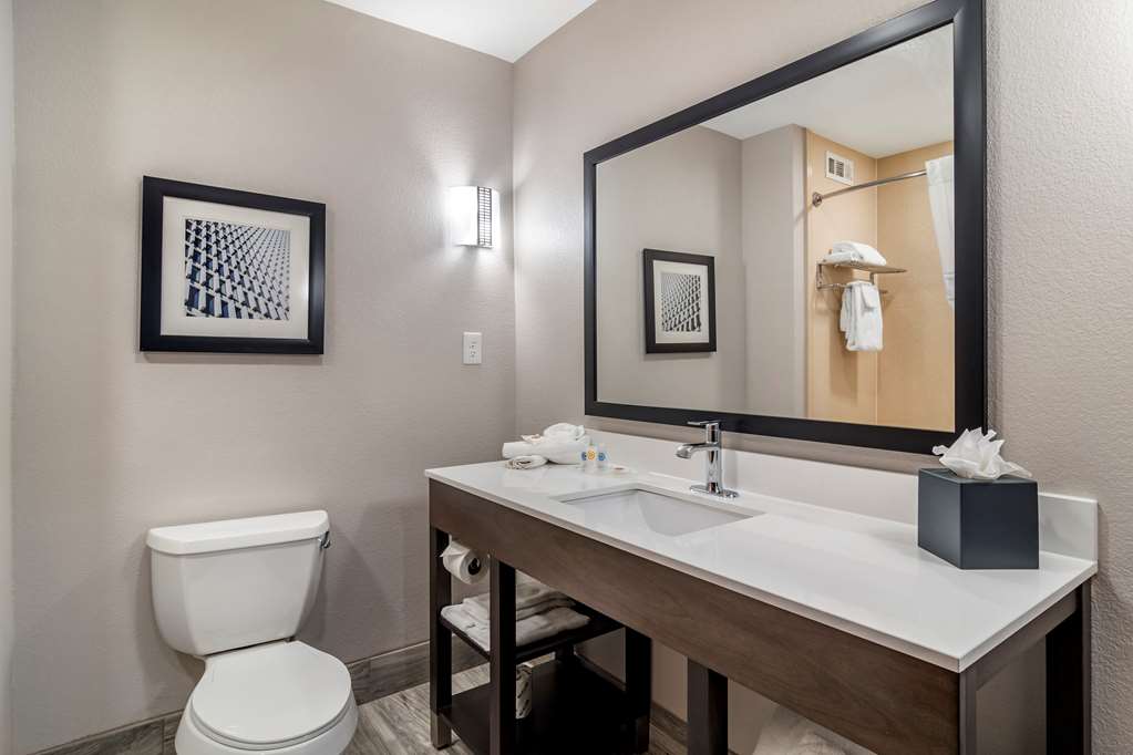 Comfort Suites McDonough Atlanta South - photo 15