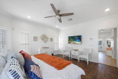 Delmar Dolphin - photo 23