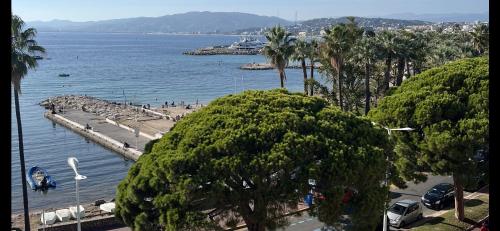 Palm Croisette Front de Mer1 — Cannes — photo 2