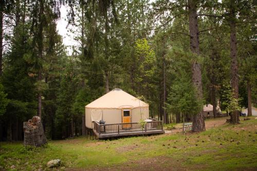 Yosemite Lakes Meadow Yurt 17 - photo 8