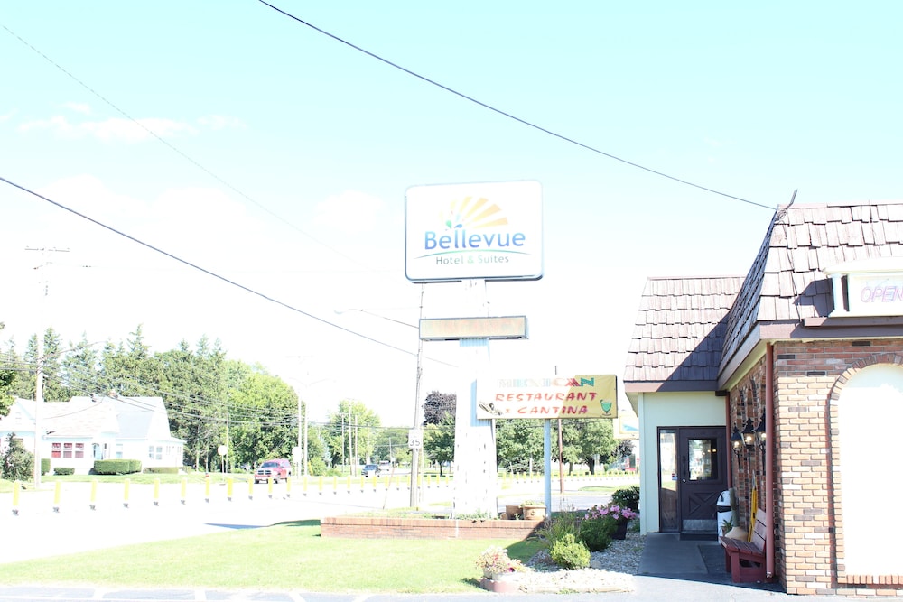 Bellevue Hotel & Suites - photo 60