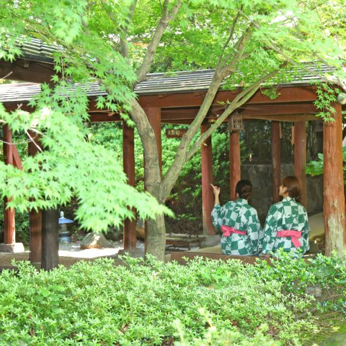 Minamiasa Tawarayama Onsen Ryokan Chikurakutei — 4-Star Luxury Hotel in Aso, Japan
