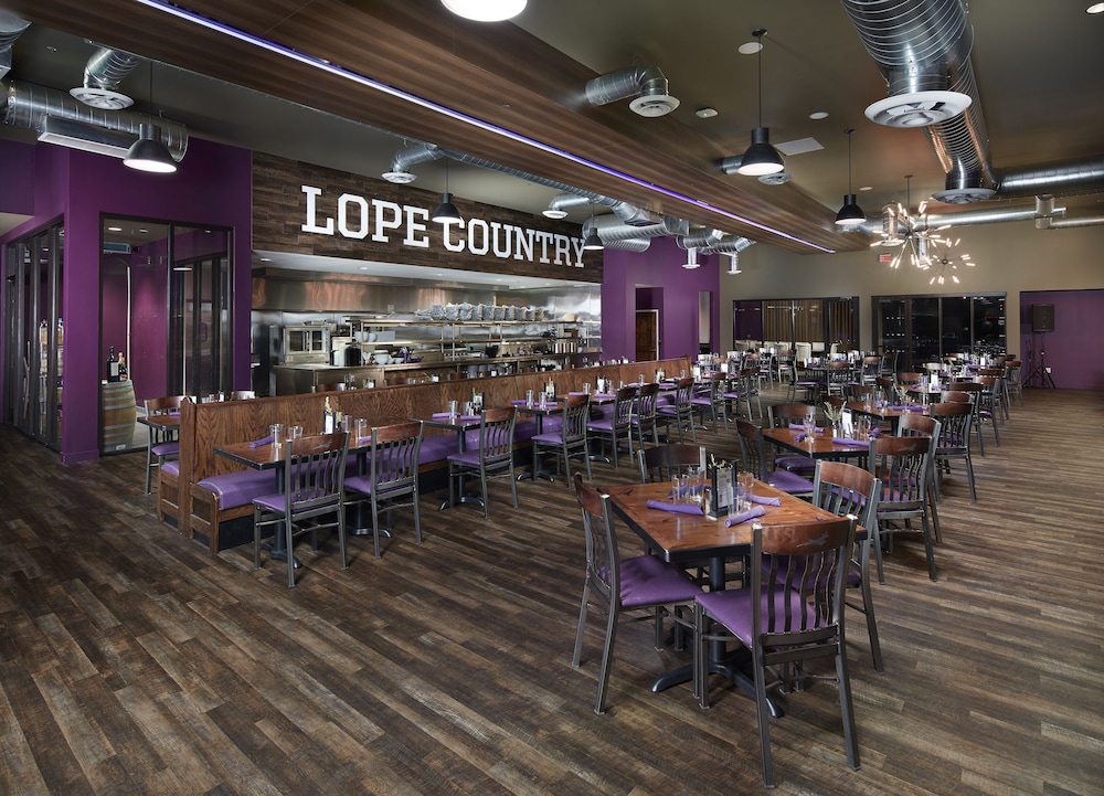 Grand Canyon University Hotel - photo 48