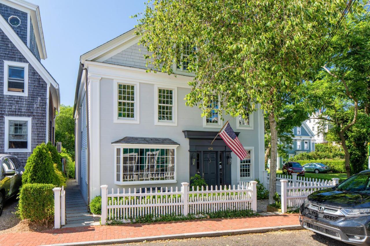 The Long Fox — Provincetown