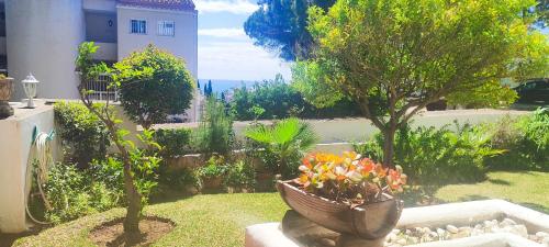 Las Acacias in Mijas, Spain