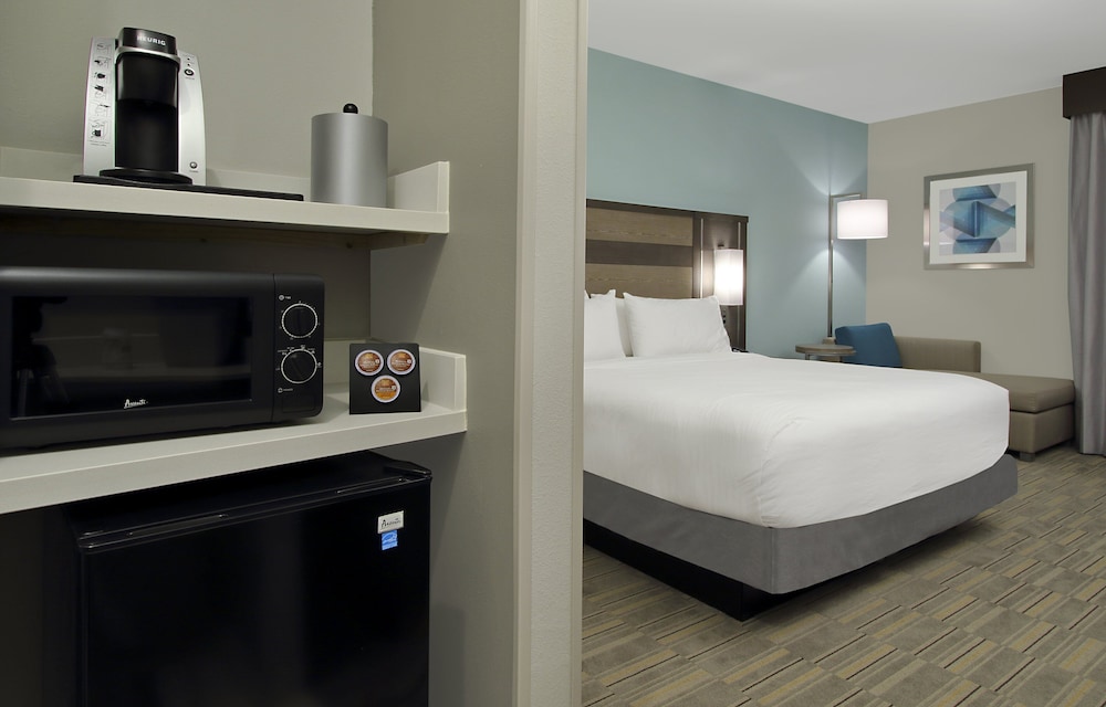 Holiday Inn Express & Suites Lake Charles South Casino Area by IHG - photo 32