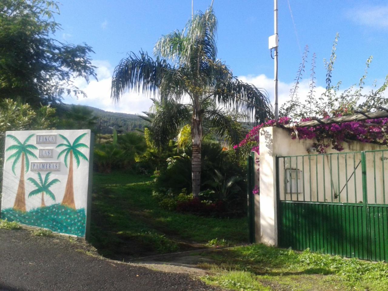 Finca las Palmeras — Icod De Los Vinos — photo 5