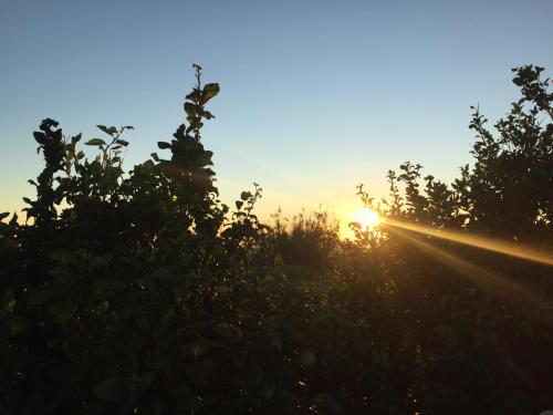 Finca Higueron in Vejer De La Frontera, Spain