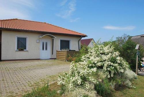 Ferienhaus Guenter — Unknown City — photo 3