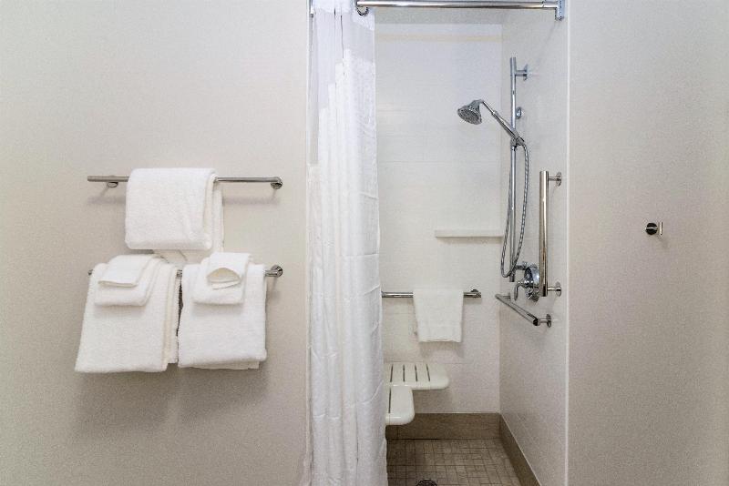 Holiday Inn Express & Suites Allen Park by IHG - photo 17