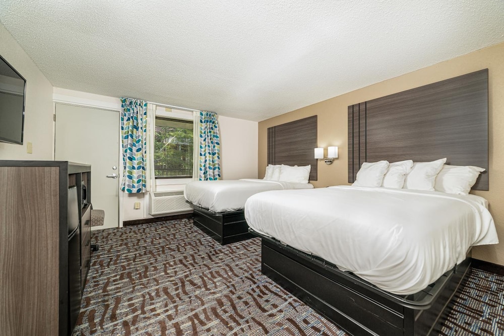 Bear Creek Inn - photo 7