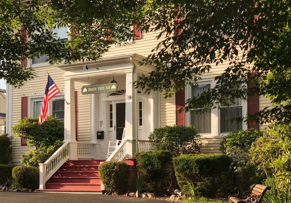 Beech Tree Inn & Cottage - featured photo