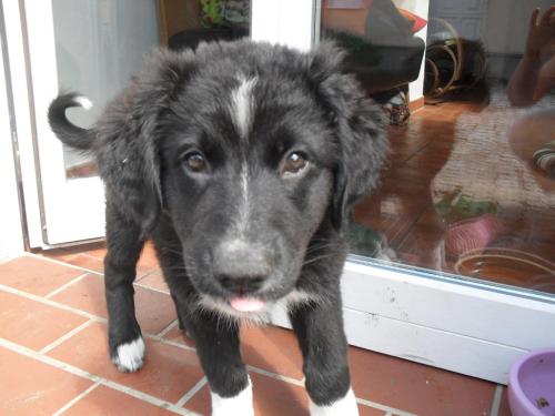 Ferienhaus Duhra in Peitz, Germany