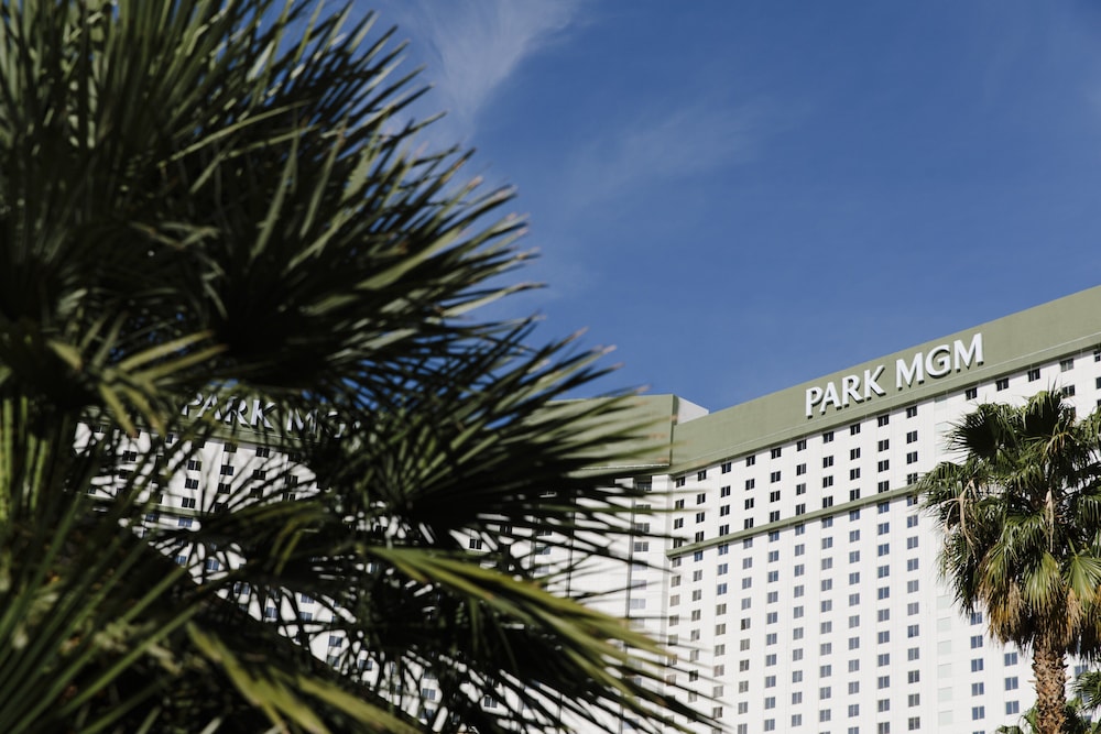 Park Mgm Las Vegas - photo 72