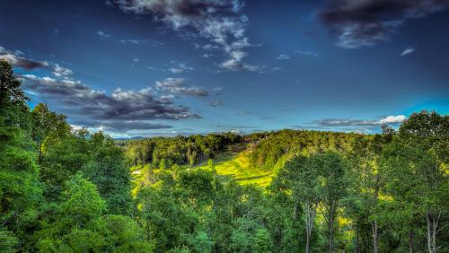 Juniper Ridge - last minute hotel in Blue Ridge