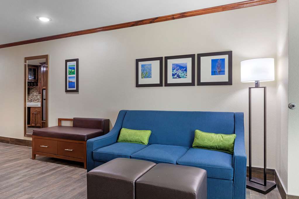 Comfort Suites West Monroe near Ike Hamilton Expo Center - photo 8