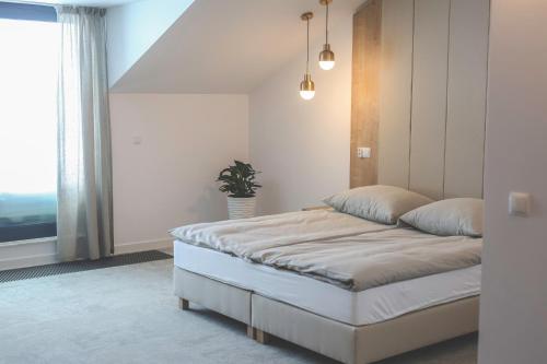 Szklane Lniane — Korczyna