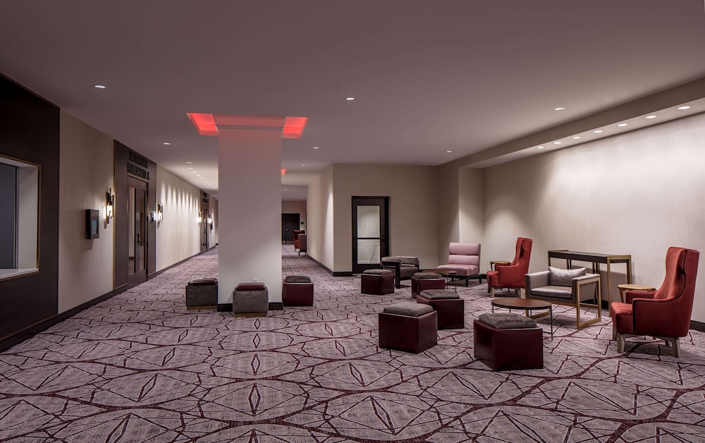 Embassy Suites by Hilton Minneapolis Downtown - photo 41