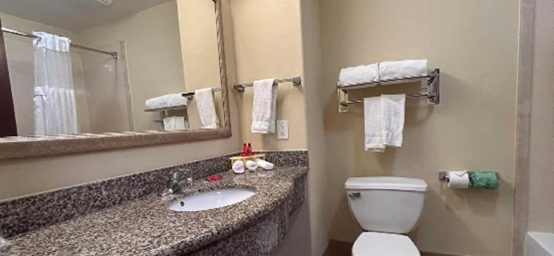 Holiday Inn Express Leesville - photo 14