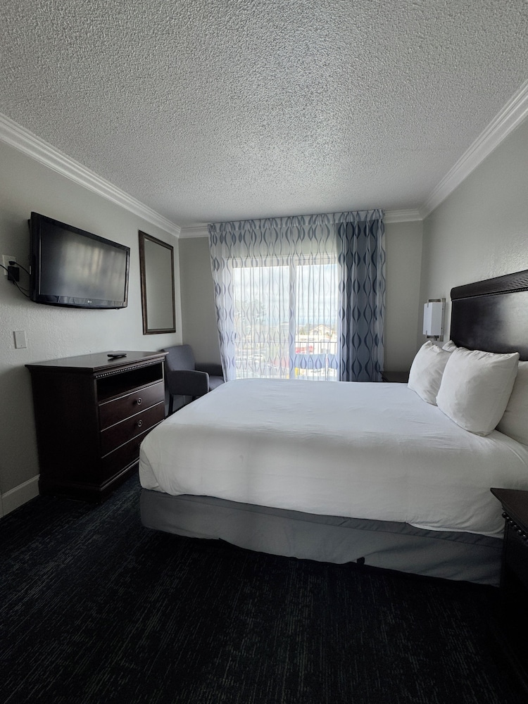 Stargazer Hotel - photo 24