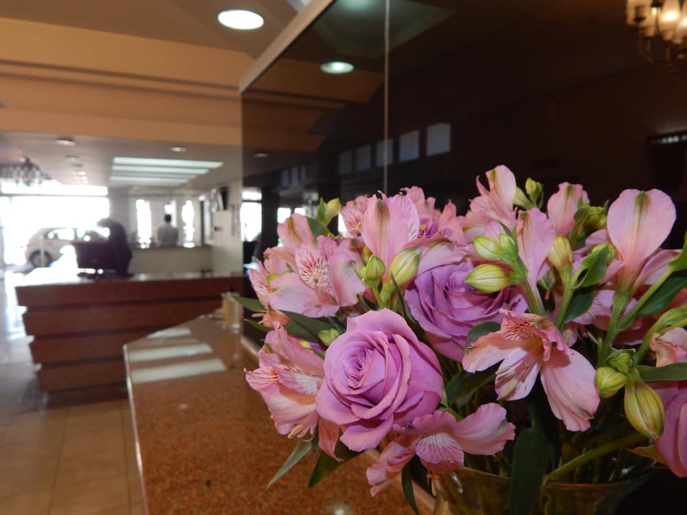 Altadomo Hotel — Santa Maria — photo 5