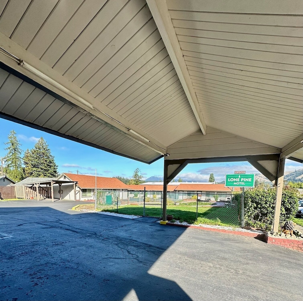 Lone Pine Motel - photo 12