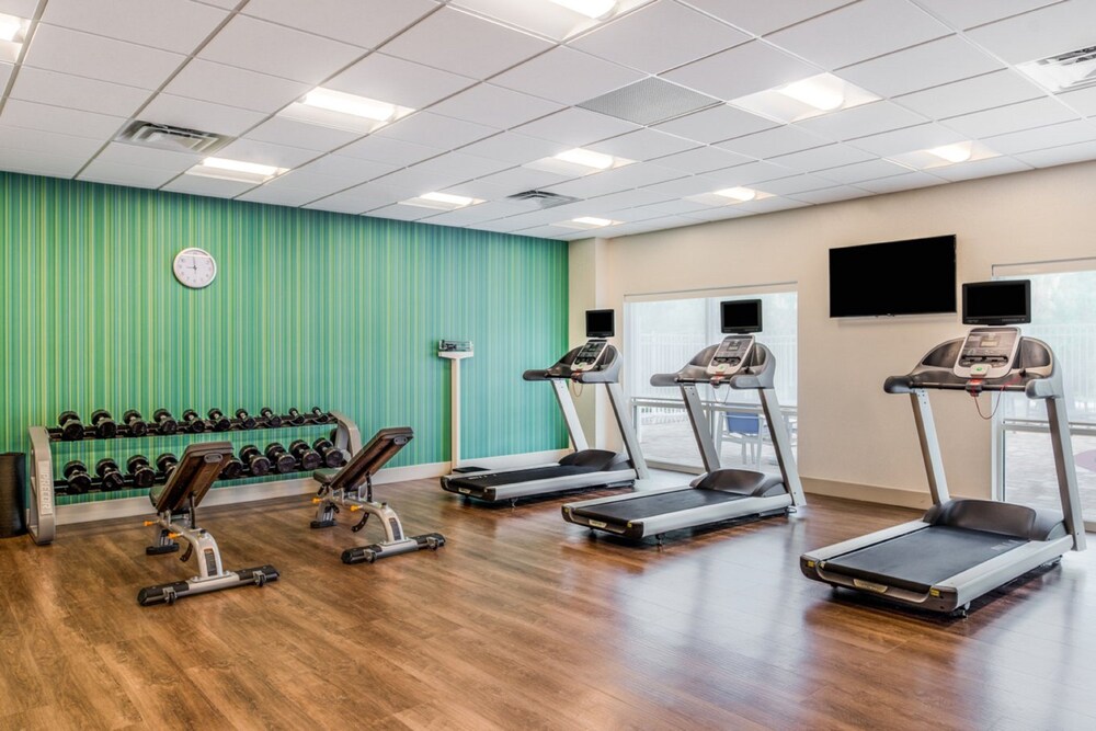 Holiday Inn Express & Suites Tampa North Wesley Chapel by IHG - photo 18