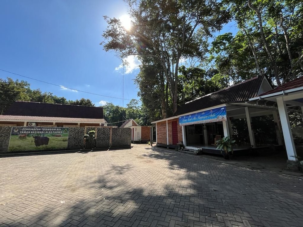 Capital O 92612 Penginapan D’alas Purwo & BeachNearPadang Savana Sadengan in Banyuwangi, Indonesia