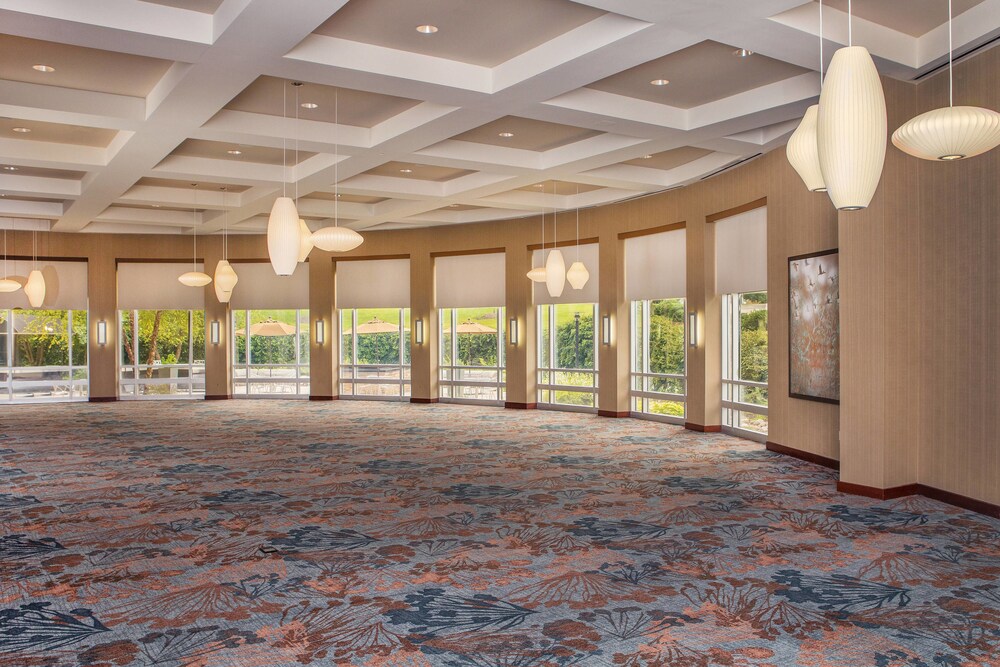 The Westin Baltimore Washington Airport BWI - photo 36