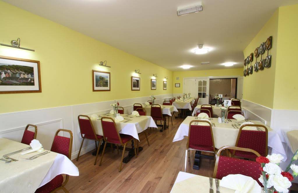 Emlyn Arms — Carmarthen — photo 3