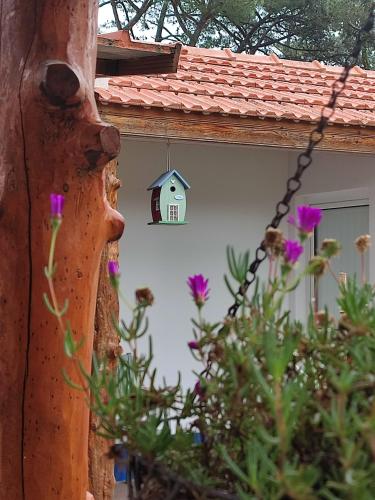 Casinha do pinhal - carbon neutral hotel in Colares