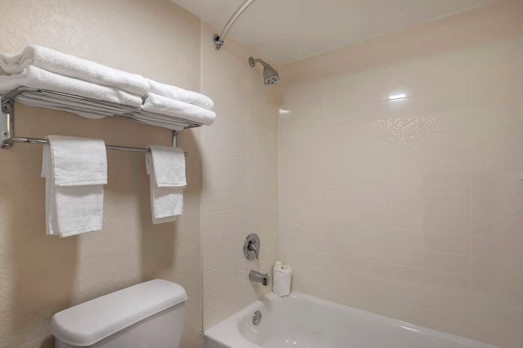 Quality Inn Saint Petersburg North Tampa Bay - photo 24